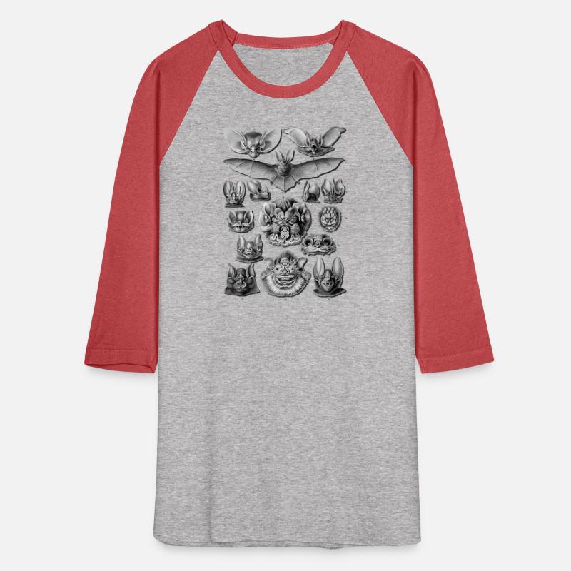 Bats Scientific Illustration Drawing Biology Hallo