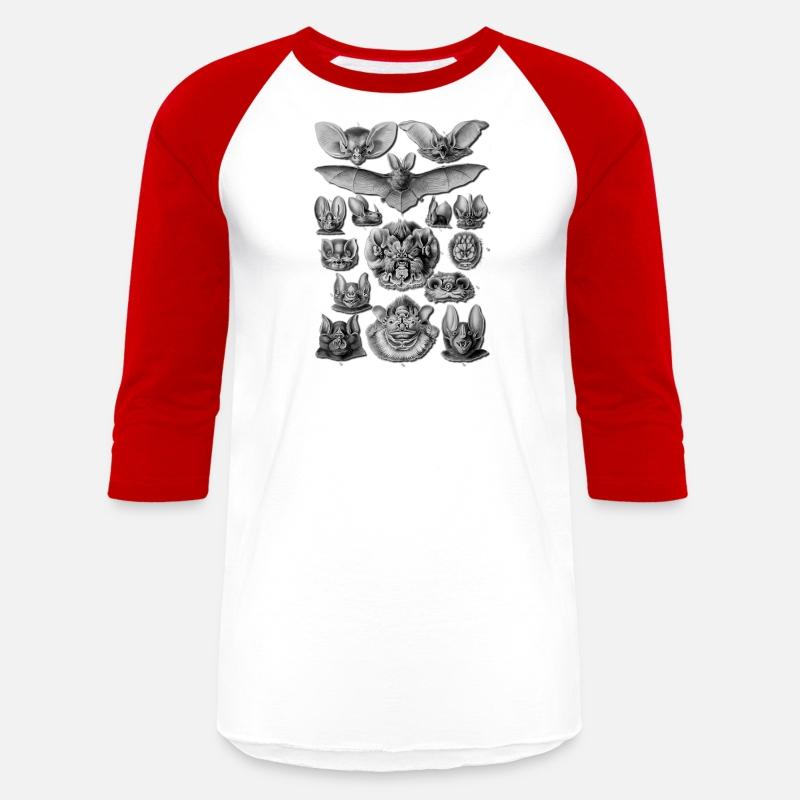 Bats Scientific Illustration Drawing Biology Hallo