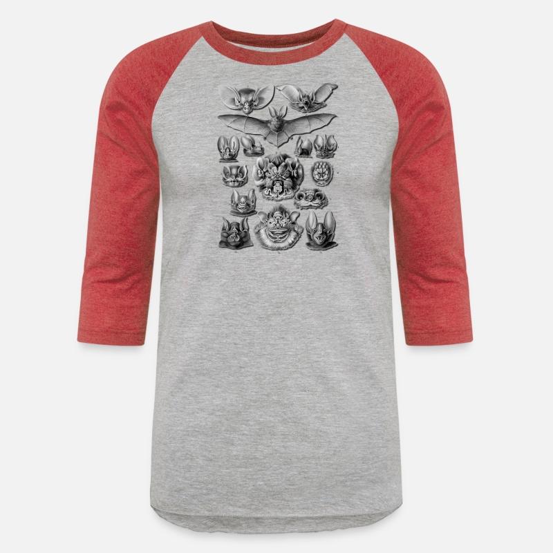 Bats Scientific Illustration Drawing Biology Hallo